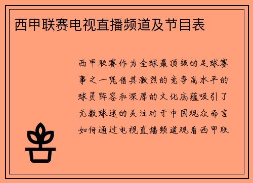 西甲联赛电视直播频道及节目表